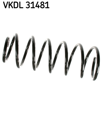 Arc spiral VKDL 31481 SKF